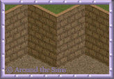 Around the Sims