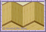Around the Sims
