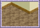 Around the Sims