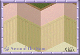 Around the Sims
