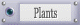 Plants & Trees | Plantes et arbres