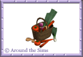 Around the Sims