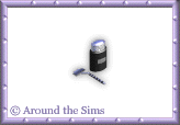 Around the Sims