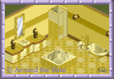 Around the Sims