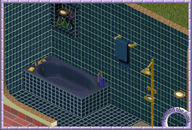Around the Sims
