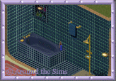 Around the Sims