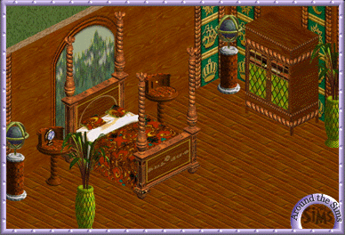 Around the Sims