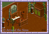 Around the Sims