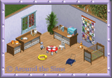 Around the Sims