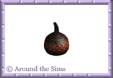 Around the Sims