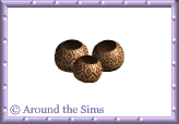Around the Sims