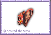 Around the Sims