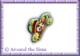 Around the Sims