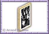 Around the Sims