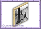 Around the Sims
