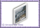 Around the Sims