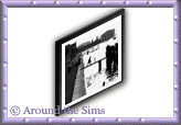 Around the Sims