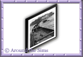 Around the Sims