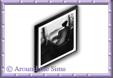 Around the Sims