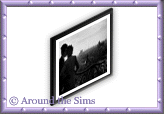 Around the Sims