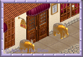 Around the Sims