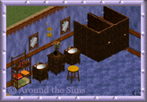 Around the Sims