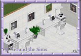 Around the Sims