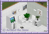 Around the Sims