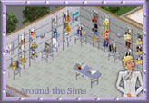 Around the Sims