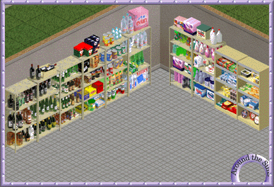 Around the Sims