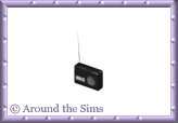 Around the Sims