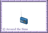 Around the Sims