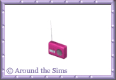 Around the Sims