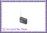 Around the Sims