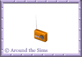 Around the Sims