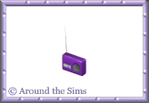 Around the Sims