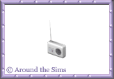 Around the Sims