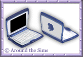 Around the Sims