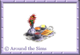 Around the Sims