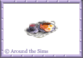Around the Sims