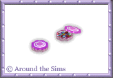 Around the Sims
