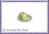 Around the Sims
