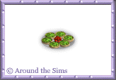 Around the Sims