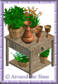 Around the Sims