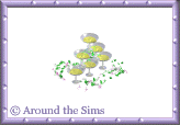Around the Sims