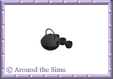 Around the Sims