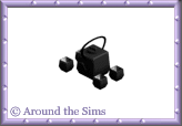 Around the Sims