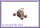 Around the Sims