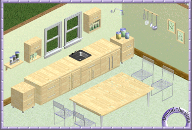 Around the Sims