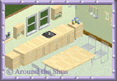 Around the Sims